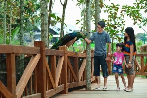 Eco Green Park Batu