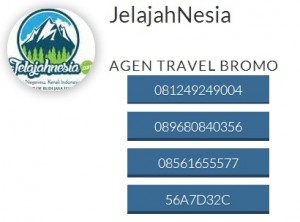 Paket Tour Murah Bromo