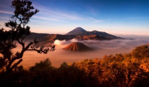 Paket wisata murah bromo