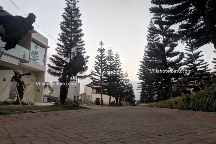 The Luxury One Villa