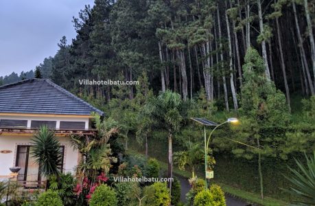 Villa Luxury Pinus M44 Batu 13